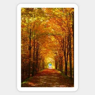 Autumn Light and Leaf Painting Sticker